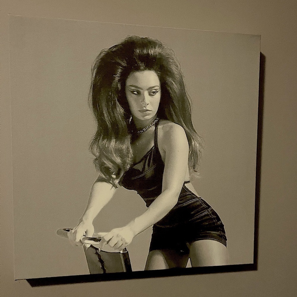 Large Charli  XCX wall canvas
